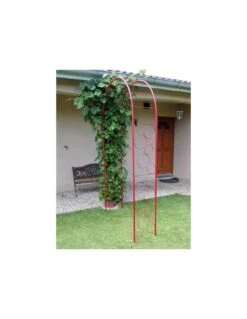 Arche "bulles" Coloris Rouge Ou Vert Sapin - Rouge