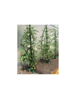 Tuteur Ă Tomate MIKADO 180 Cm - Vert